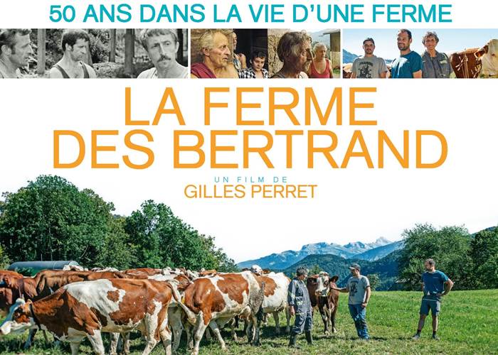 Sans titre
