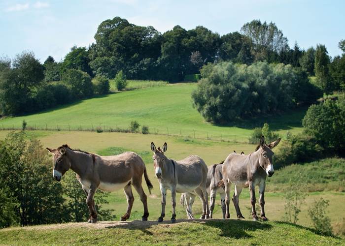 Beauté nature et découverte