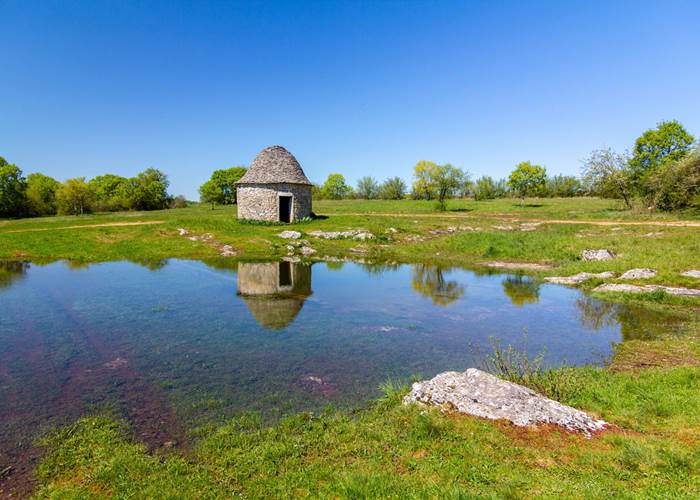 Cazelle du Lac de Lacam Livernon
