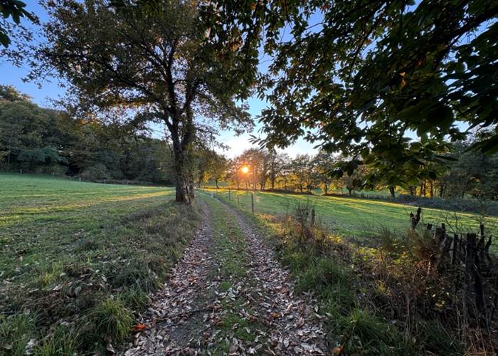 Saint Goussaud - Le chemin qui vous attend