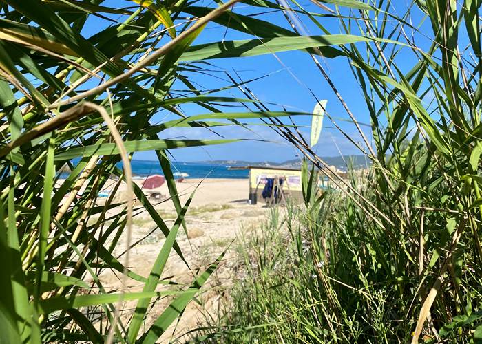 Abbartello kayak Corse, découverte de l'environnement