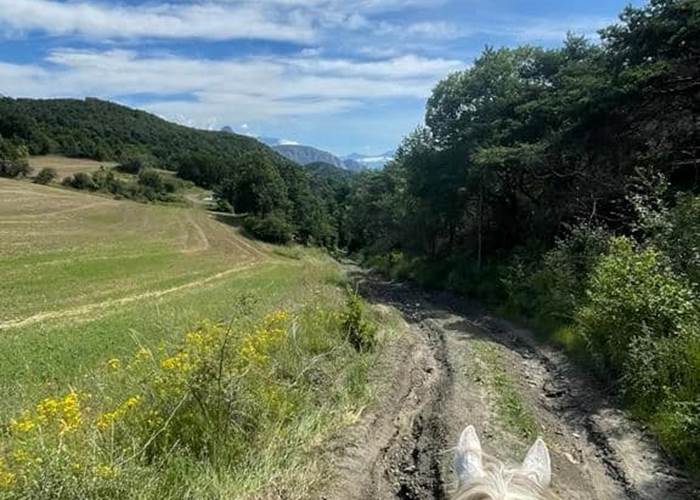 Ecuries les Pies du Sud - Rochebrune