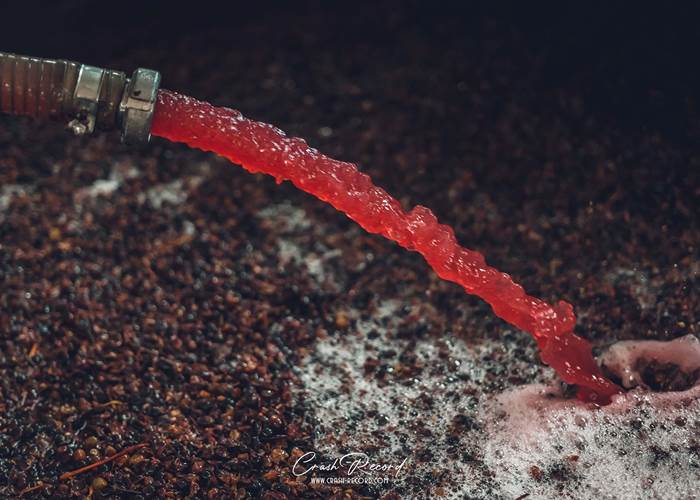 La vinification des vins rouges