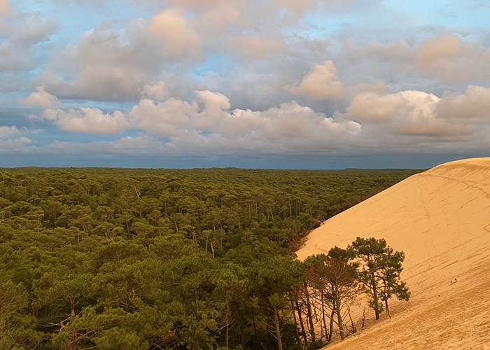 Dune du Pilat