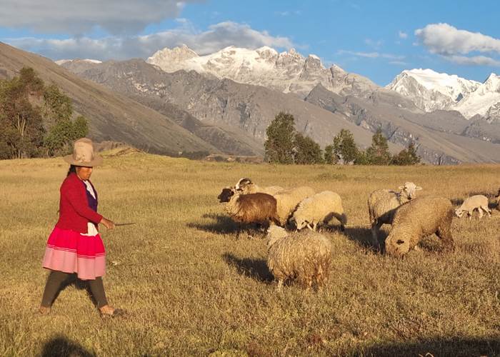 Comunidad de Copa Grande