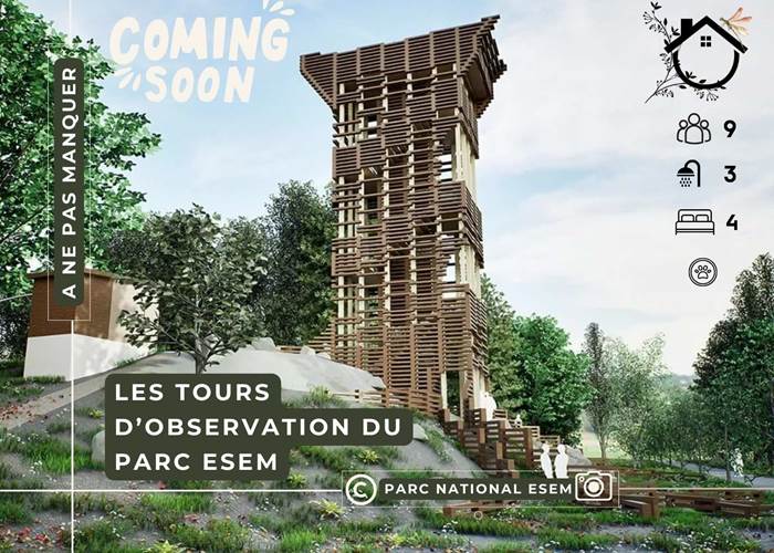 Parc ESEM- La Demoiselle ô bois