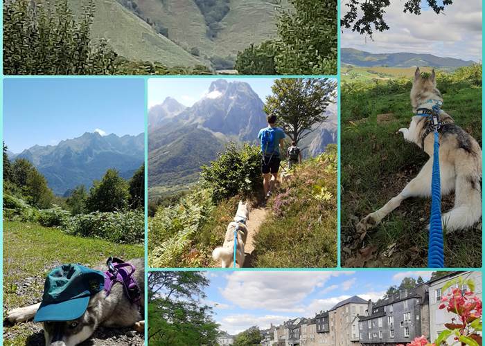 rando-Pyrénées-avec-des-chiens