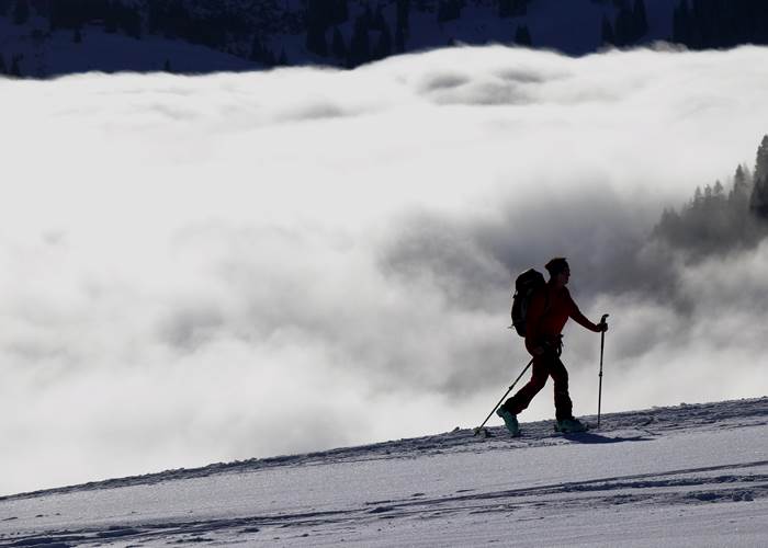 Ski de fond, Vosges-page