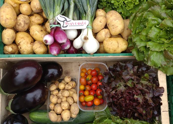 Nos légumes