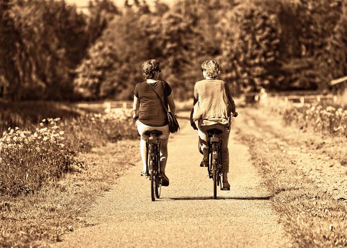 Balade à vélo en Champagne