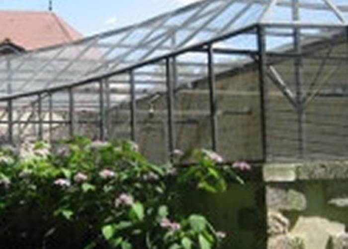 La volière installée dans l'ancien chenil