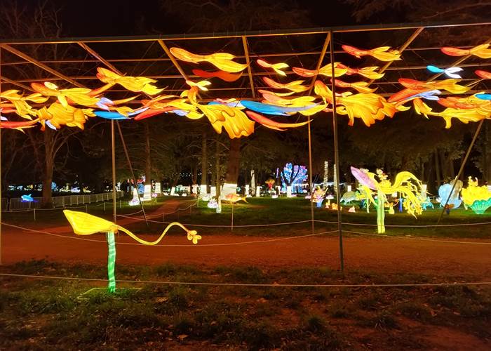 Les Splendeurs de Chine à Céret