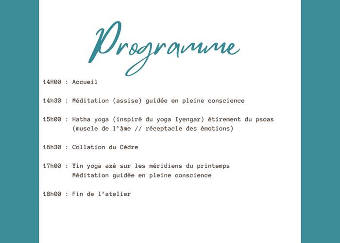 programme de l'atelier yoga