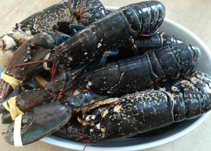 Kergroaz Maner Homard de nos cotes menu avec supplément