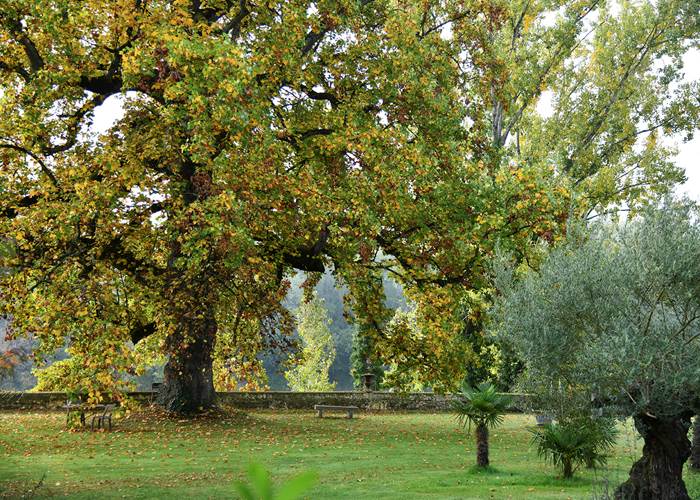 DSC_0764 copie