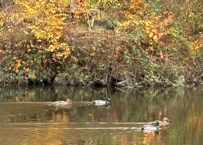 La vallée de la Paix