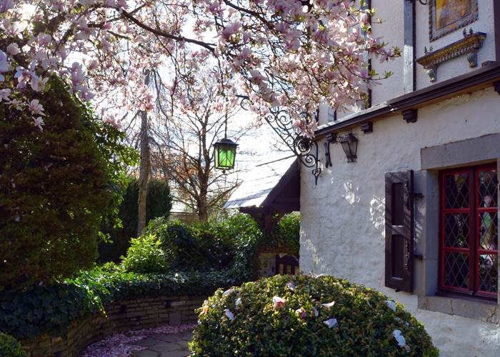 Magnolia Manoir b