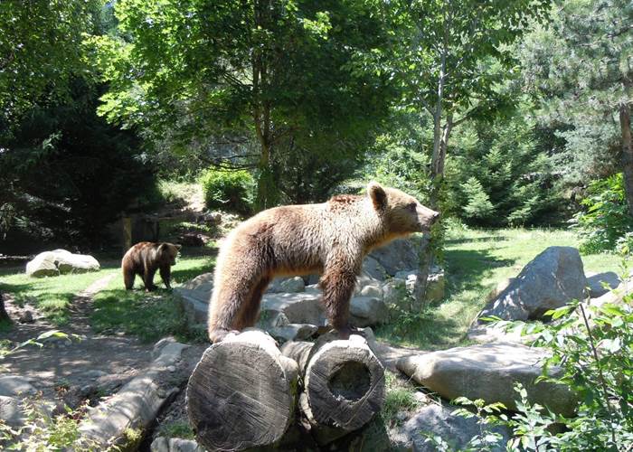 Le parc animalier d'Argelès-Gazost