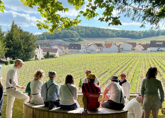 Visite et dégustation en Champagne 2026