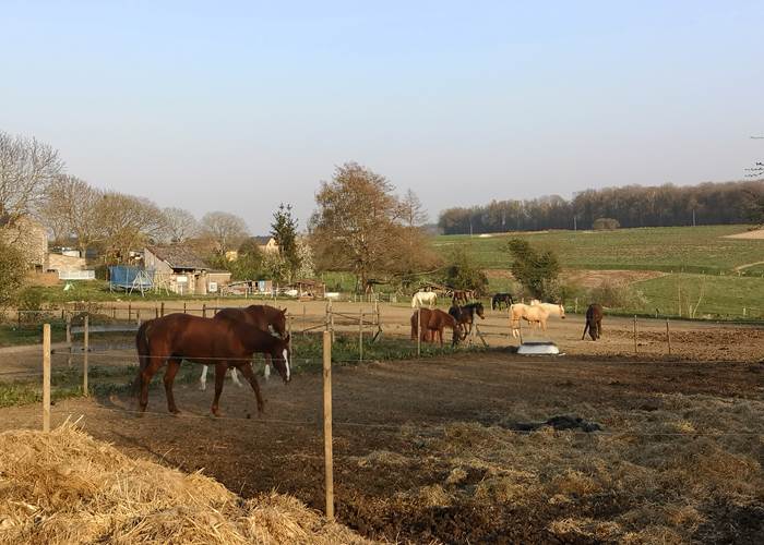 La campagne gesvoise