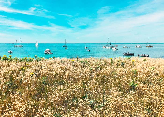 Île de Penfret les Glénan Fouesnant