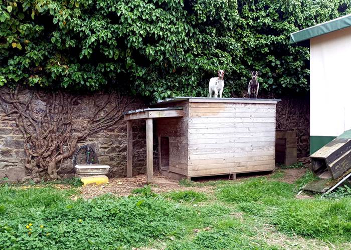 Découverte des lieux-news