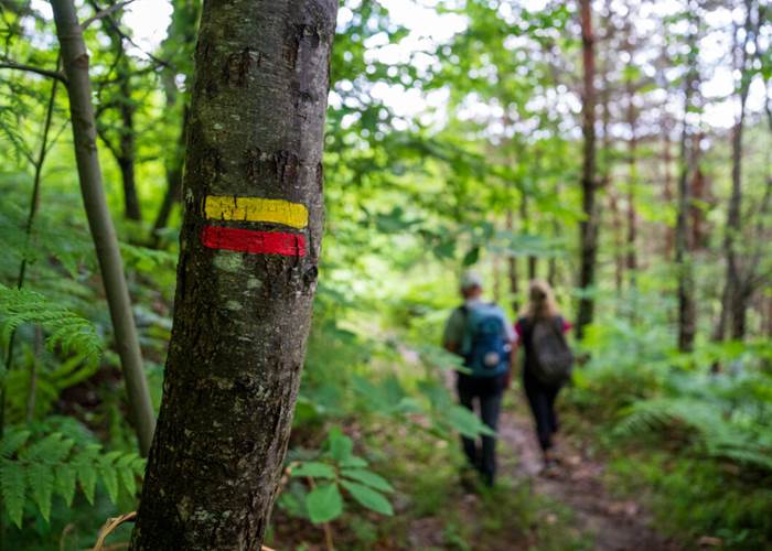 balisagecircuitpedestre-hautecorreze-foret-tourisme-bienêtre