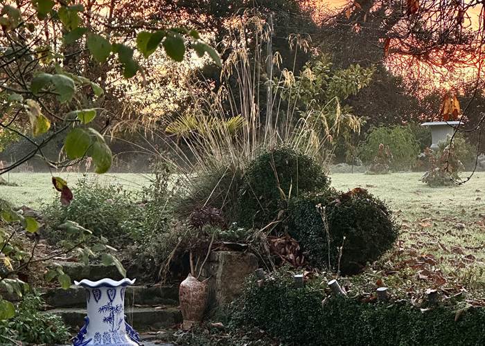 beauté du jardin en hiver