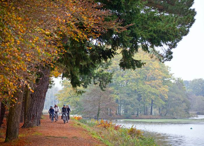 Vélo sur la Vélodyssée