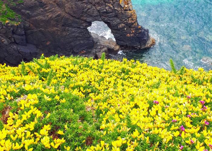 chambre-hotes-bretagne-cap-frehel-dinan