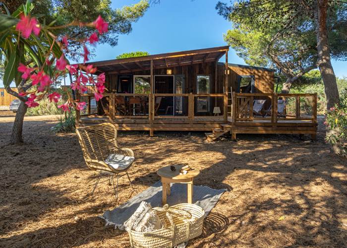 Ecolodge Manyara-news