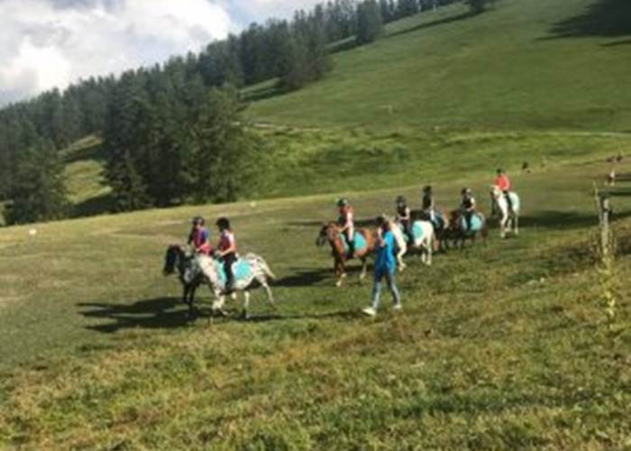 Cheval les écuries de la moute