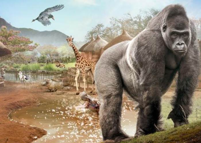 La terre des origines