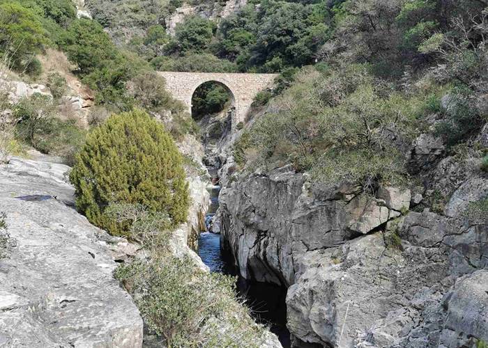Minerve un de nos coups de cœur