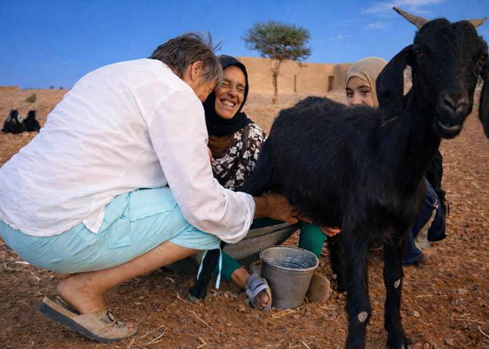 l'heure de la traite