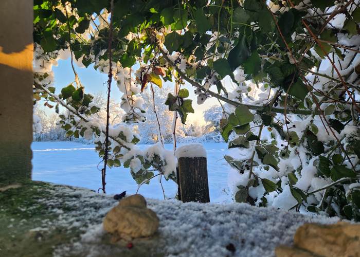 L'Enclos bleu sous la neige