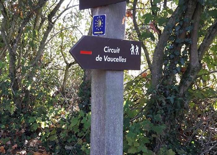 Randonner sur les sentiers balisés