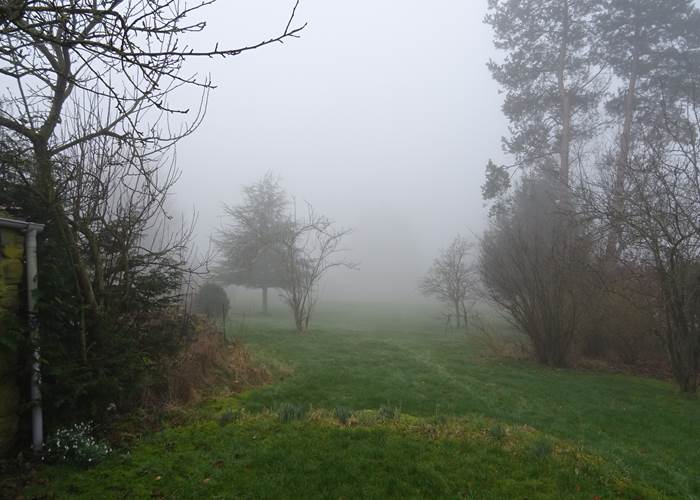 Jardin du gîte 1 dans le brouillard