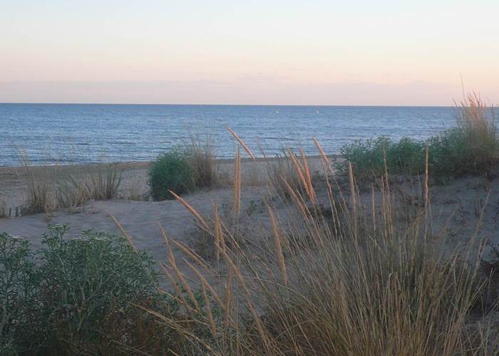 Plage de la Farinette au Cap d’Agde, accessible depuis les Gîtes de Monte Blanco à Montblanc dans l’Hérault.-page