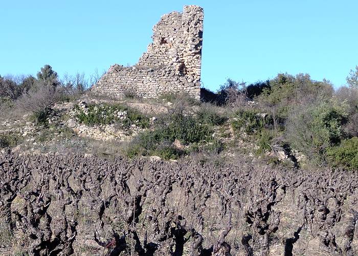 cadre hydilique pour un pique-nique vigneron