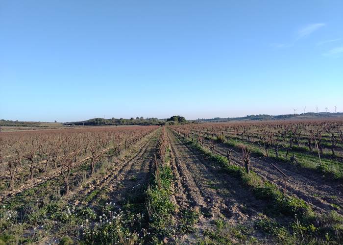 Se ressourcer dans la nature pour célébrer l'Amour