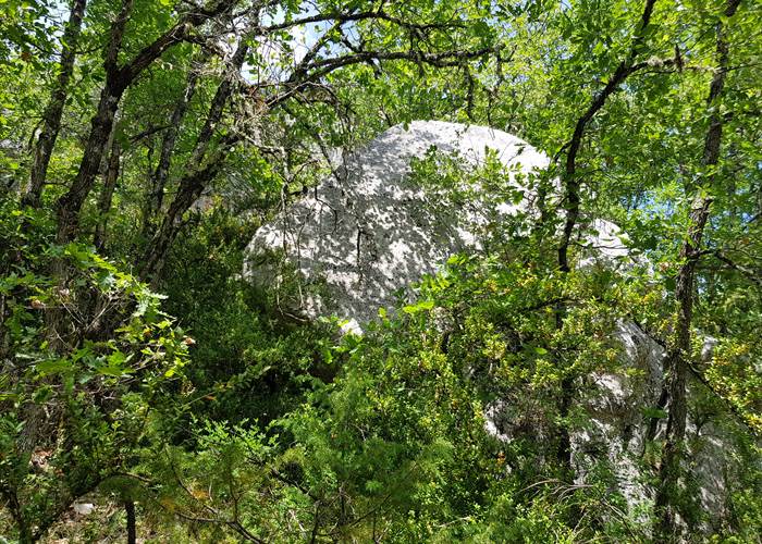 Promenade_dans_les_chênes_et_les_rochers
