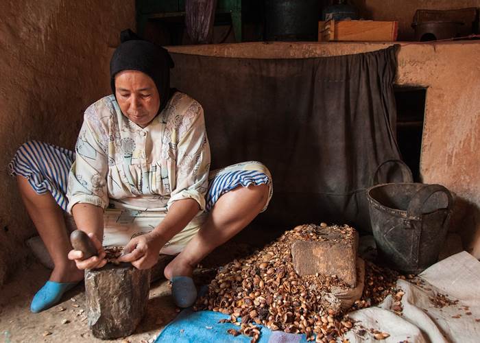 L'Arganier : Un Élixir de Jouvence