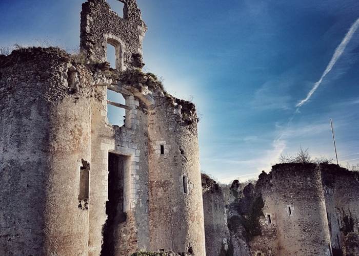 Ruines Chateau de Vaujours
