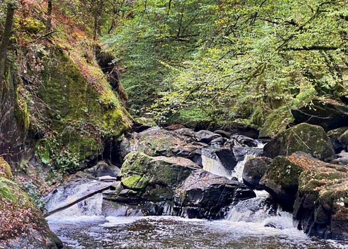 saut-du-chalar