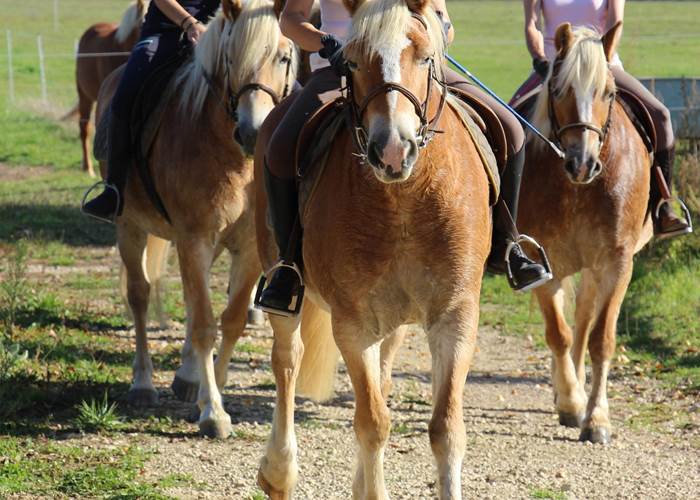 Retour de balade...-page