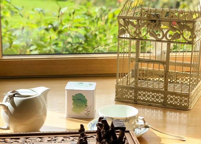 Se détendre autour d'une partie d'échecs