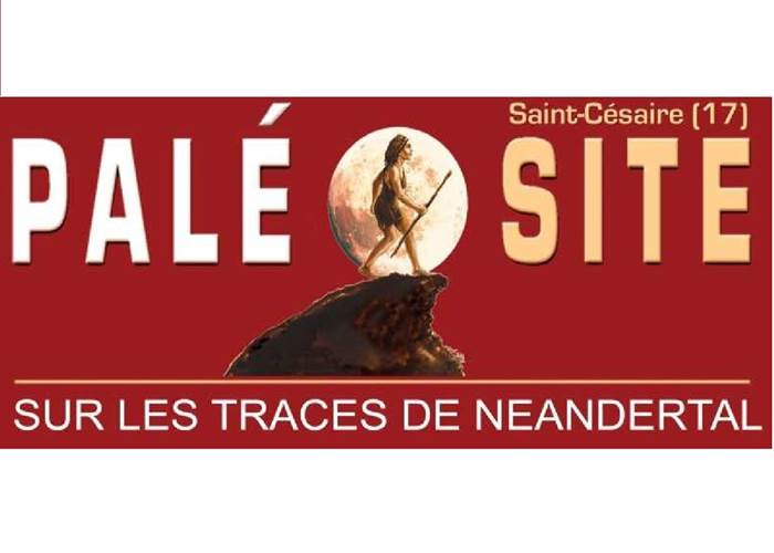 Sans titre