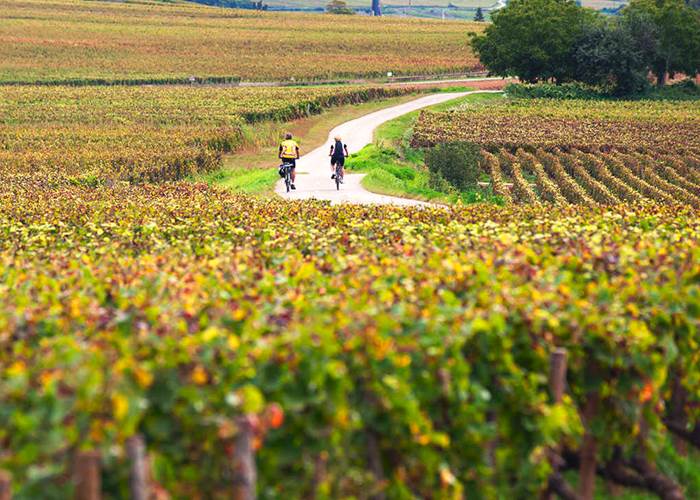 Cyclotourisme en Bourgogne