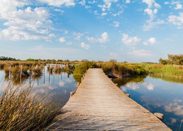 Camargue